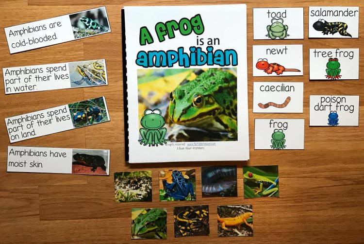 Amphibians Adapted Book (w/Real Photos) - Click Image to Close