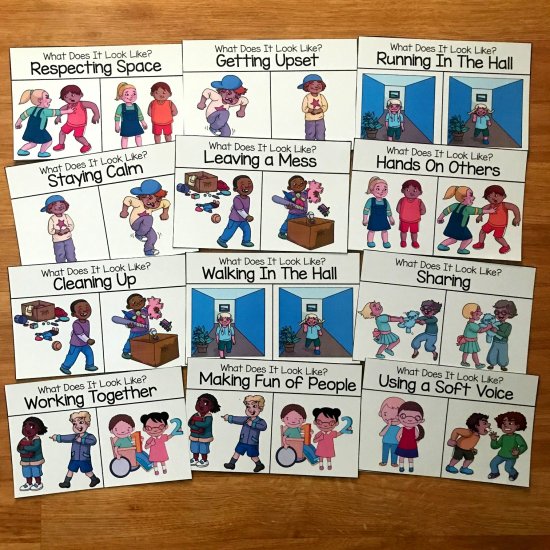 Behavior Task Cards: What Does It Look Like - Click Image to Close