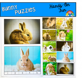 Bunny Puzzles (With Real Photos)