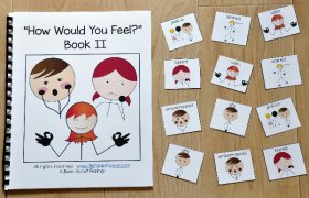 Emotions Adapted Book--"How Would You Feel?" 2