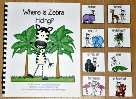 "Where is Zebra Hiding" Adapted Book