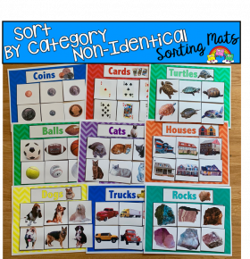 Sort By Category Sorting Mats (Set 2) W/Real Photos