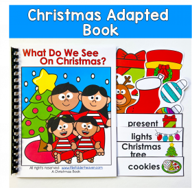 Christmas Adapted Book: What Do We See On Christmas?
