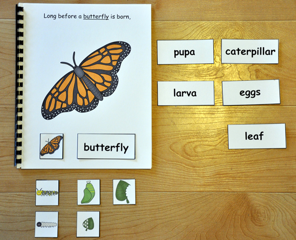 Butterfly Life Cycle Adapted Book - Click Image to Close