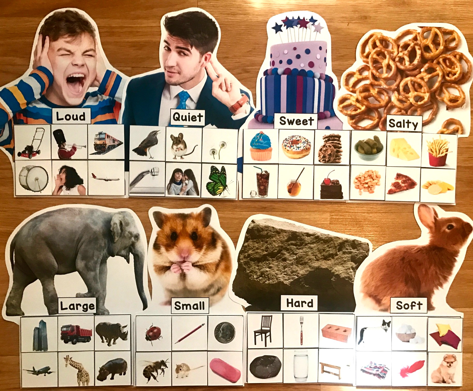 Sorting With My Senses Sorting Mats (w/Real Photos) Sorting With My Senses Sorting Mats (w/Real Photos)