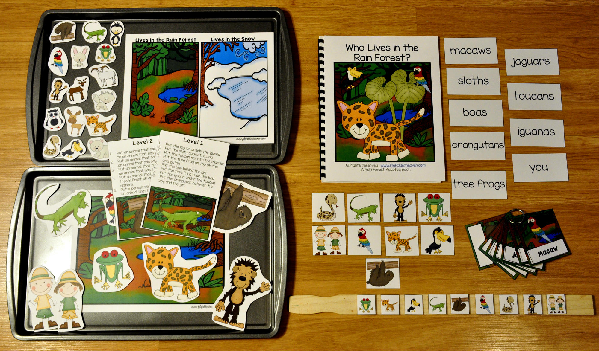 Who Lives in the Rain Forest Adapted Books Unit Who Lives in the Rain Forest Adapted Books Unit