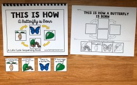 Butterfly Life Cycle Sequencing Activities