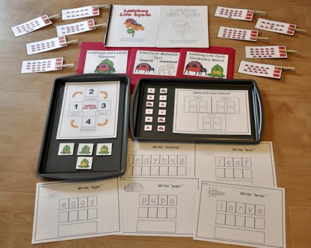 Number Fun File Folder Games