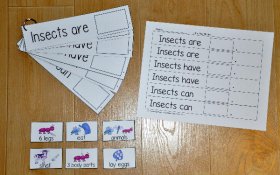 "Insects Are, Insects Have, Insects Can" Flipstrips