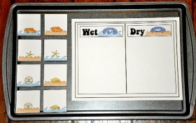 Beach Objects Wet or Dry Sort Cookie Sheet Activity