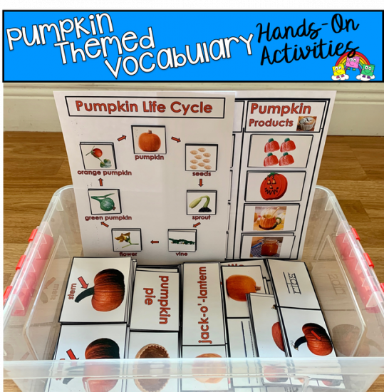 Pumpkin Themed Vocabulary Tasks (W/Real Photos)