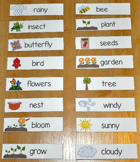 Spring Themed Visual Word Wall Words