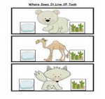 Where Does It Come From File Folder Game
