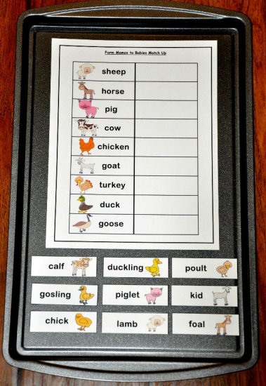 Farm Mamas and Babies Match Up Cookie Sheet Activity 2