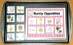 Bunny Opposites File Folder Game