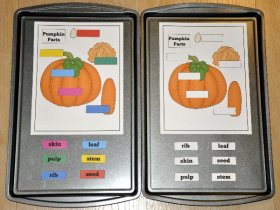 Label the Pumpkin Parts Cookie Sheet Activity