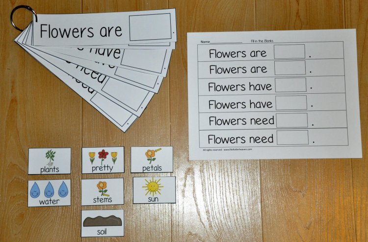\"Flowers Are, Flowers Have, Flowers Need,\" Flipstrips