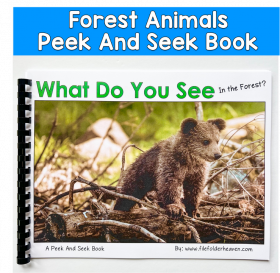 Forest Animals Peek And Seek Book