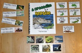 Reptiles Adapted Book--A Crocodile is a Reptile
