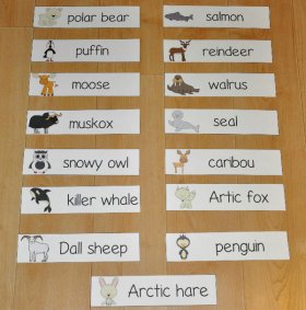 Cold Climate Animals Visual Word Wall Words