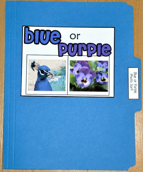 Blue or Purple Sort File Folder Game (Real Photos)