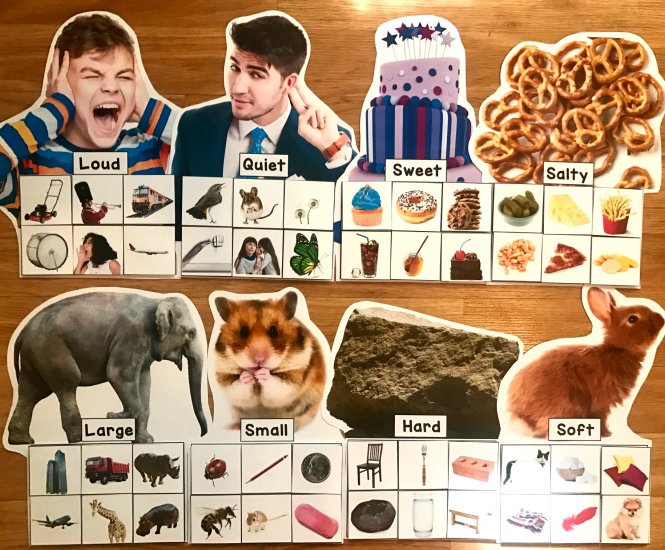 Sorting With My Senses Sorting Mats (w/Real Photos) - Click Image to Close