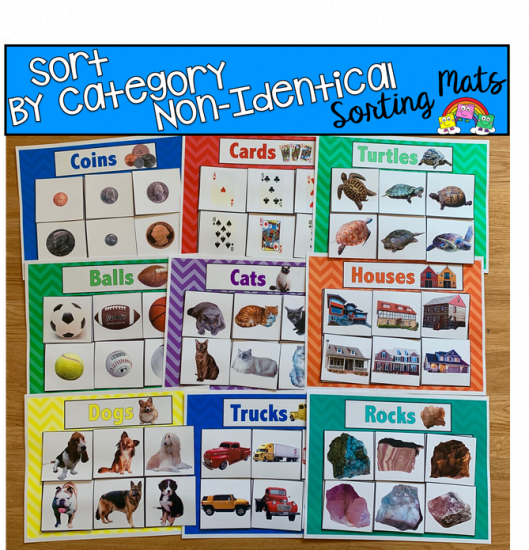 Sort By Category Sorting Mats (Set 2) W/Real Photos