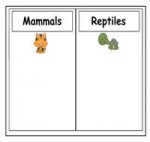 Mammals or Reptiles Sort File Folder Game