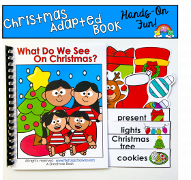 Christmas Adapted Book: What Do We See On Christmas?