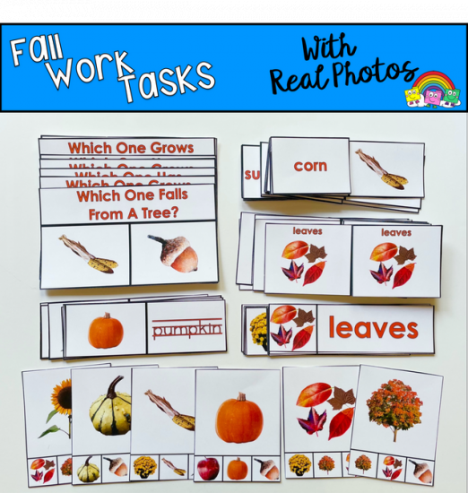 Fall Themed Tasks (w/Real Photos)