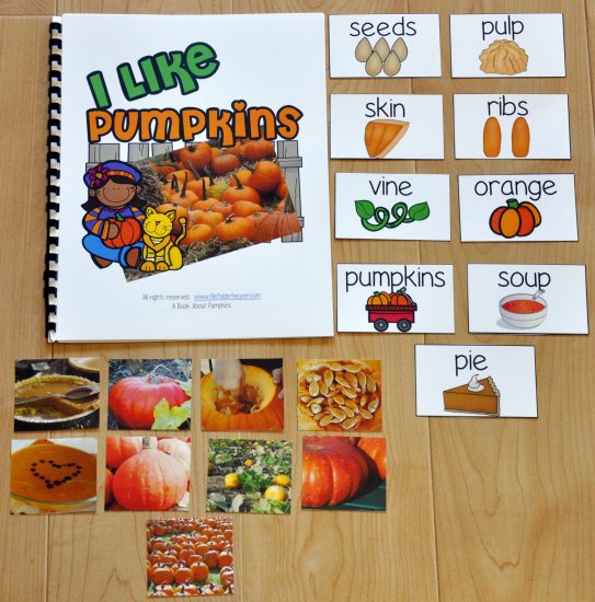 I Like Pumpkins Adapted Book (w/Real Photos)