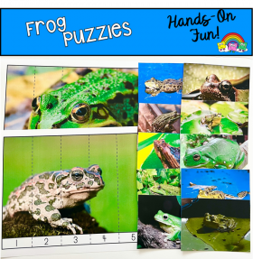 Frog Puzzles (With Real Photos)