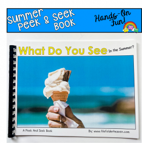 Summer Peek And Seek Book