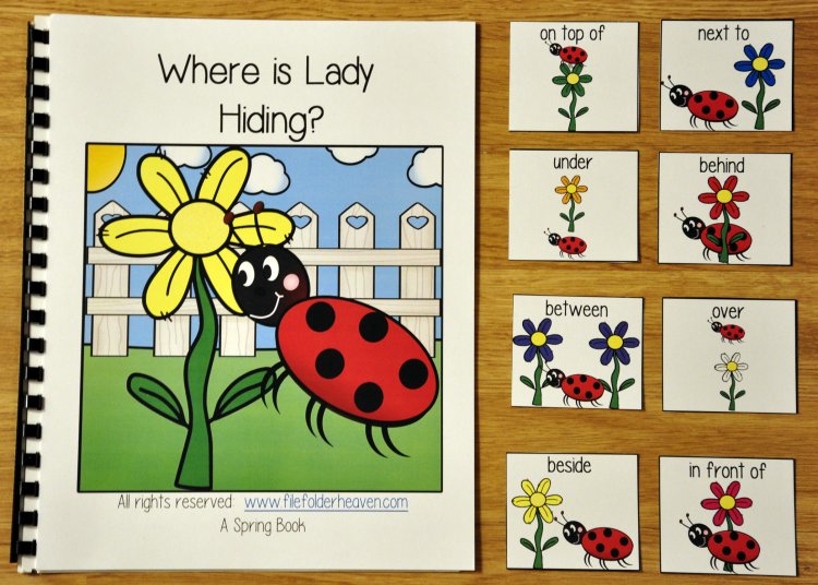 \"Where is Lady Hiding?\" Adapted Book