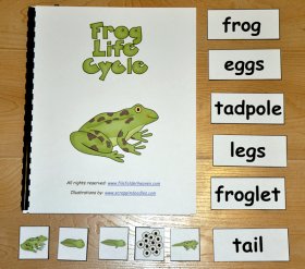 Frog Life Cycle Adapted Book