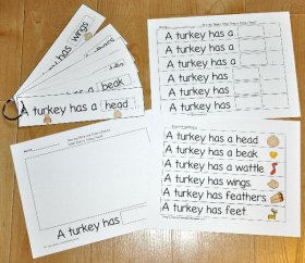 Turkey Fluency Flipstrips Activities