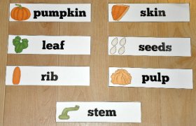 Pumpkin Parts Visual Word Wall Words