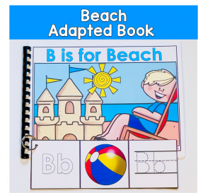 B Is For Beach Adapted Book An Activities: The Beach From A-Z