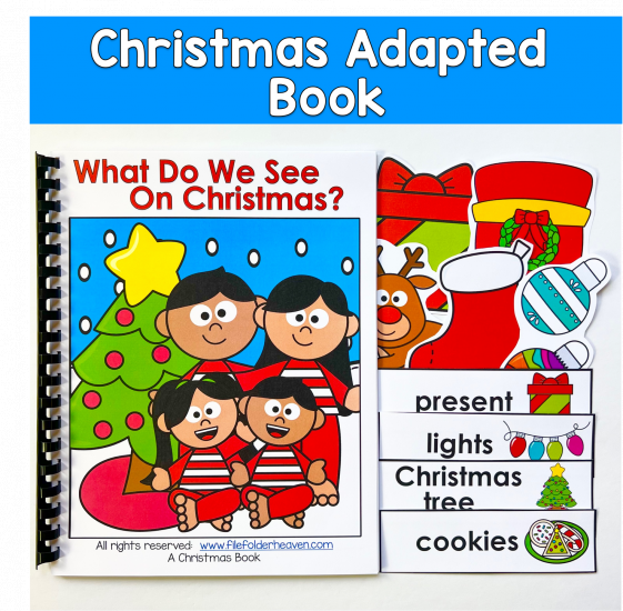 Christmas Adapted Book: What Do We See On Christmas?