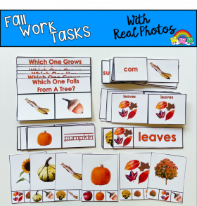 Fall Themed Tasks (w/Real Photos)