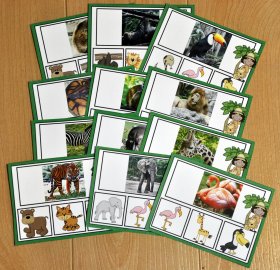 Zoo Task Cards