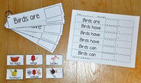 "Birds Are, Birds Have, Birds Can," Flipstrips