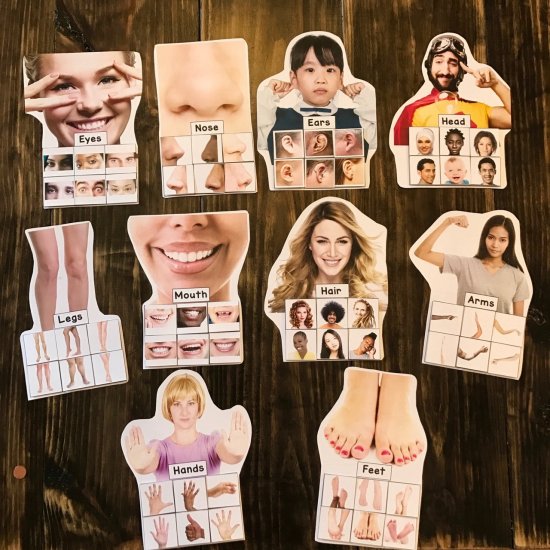 Body Parts Sorting Mats (W/Real Photos) - Click Image to Close