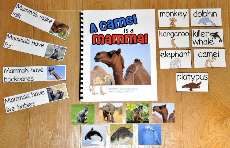 Animal Groups Adapted Books Mini-Bundle - Click Image to Close