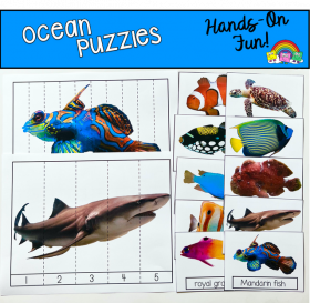 Ocean Puzzles (With Real Photos)