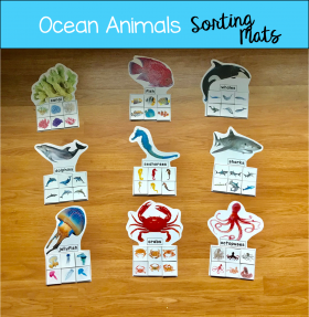 Ocean Animals Sorting Mats (w/Real Photos)