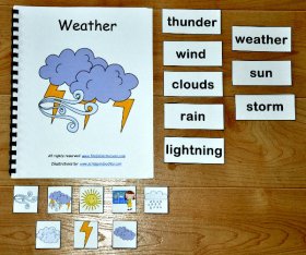 Weather Adapted Book
