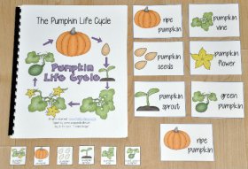 "The Pumpkin Life Cycle" Adapted Song Book