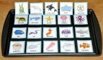 I Went to the Ocean Sequencing Story
