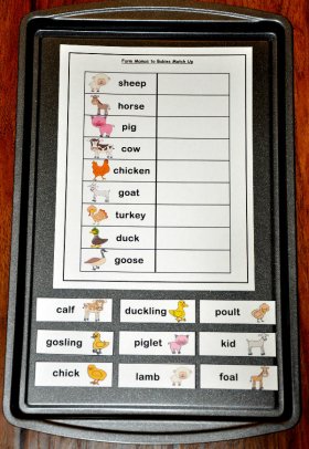 Farm Mamas and Babies Match Up Cookie Sheet Activity 2